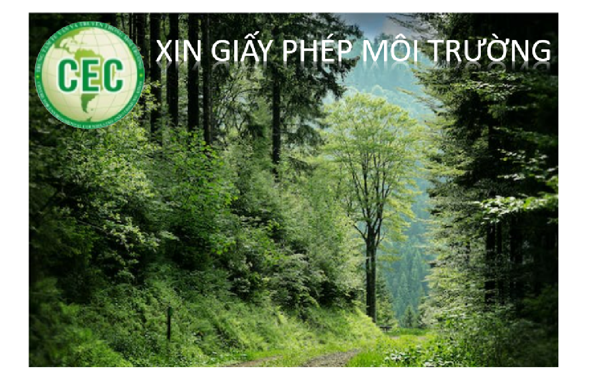 Tư vấn lập GPMT